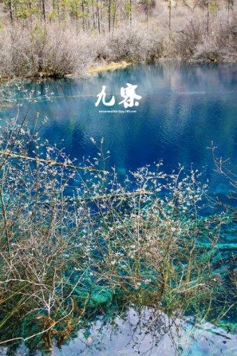 朋友伤我怎样原谅？游戏画面