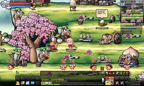 深入探索隋文帝唐太宗哪个厉害,尽享知识星球平台的精彩内容