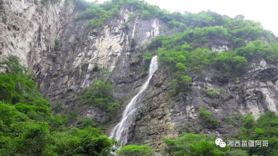 拯救精灵的土地10