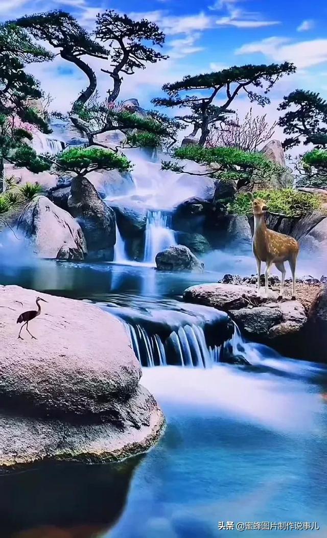 两会看板