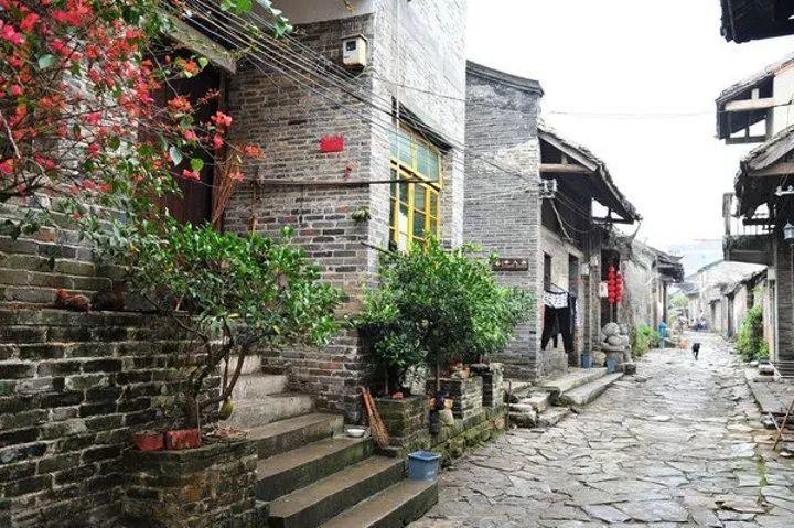 小兔子大冒险